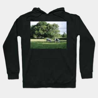 Ponies grazing in the woodland Hoodie